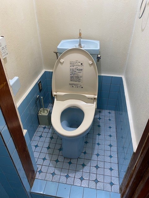 detached 由良町衣奈