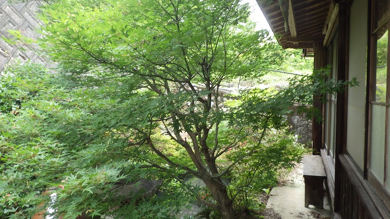 detached 田辺市本宮町本宮