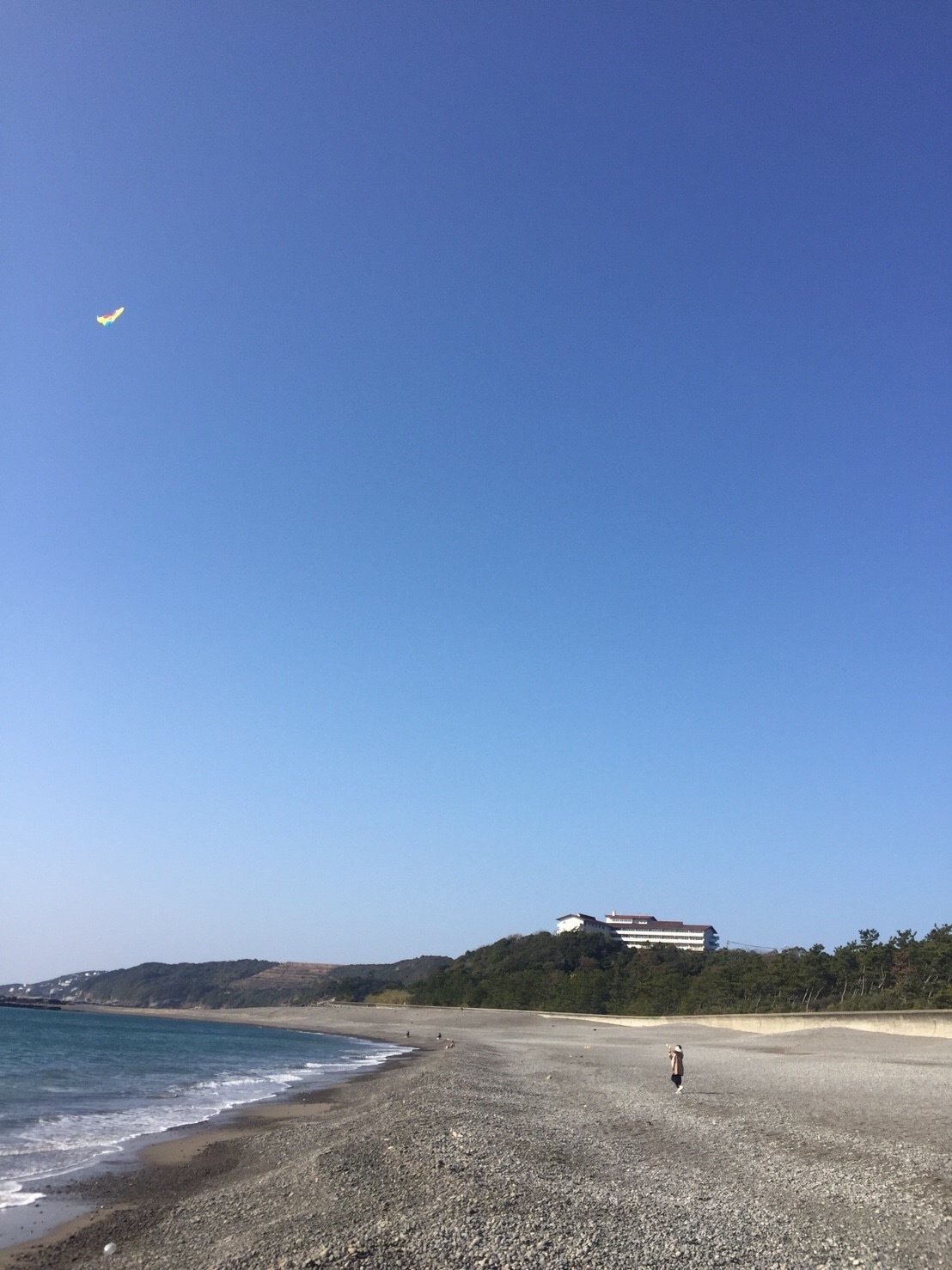 detached 白浜町中