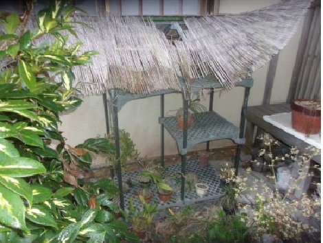 detached 日高町高家