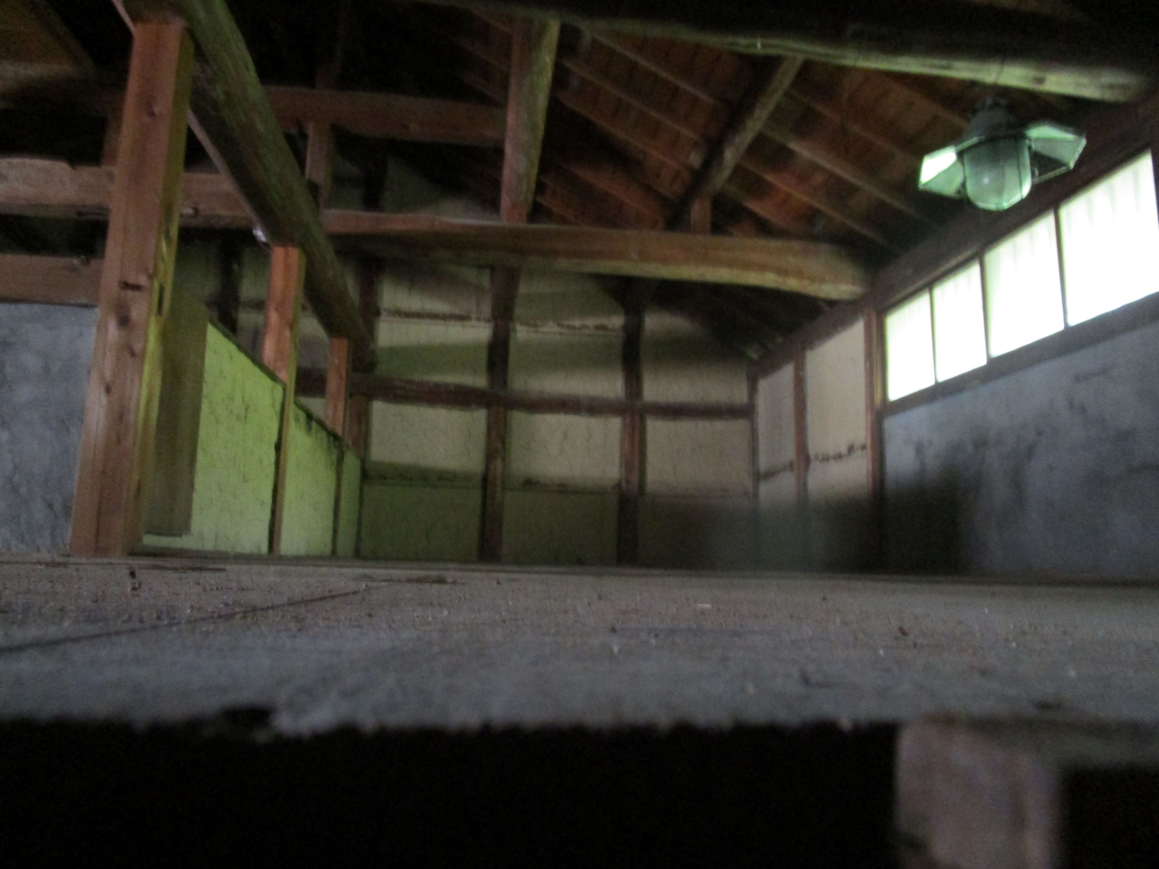 detached 白浜町椿