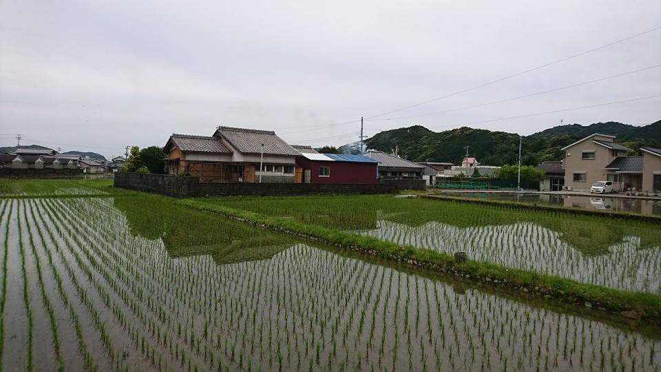 detached すさみ町周参見