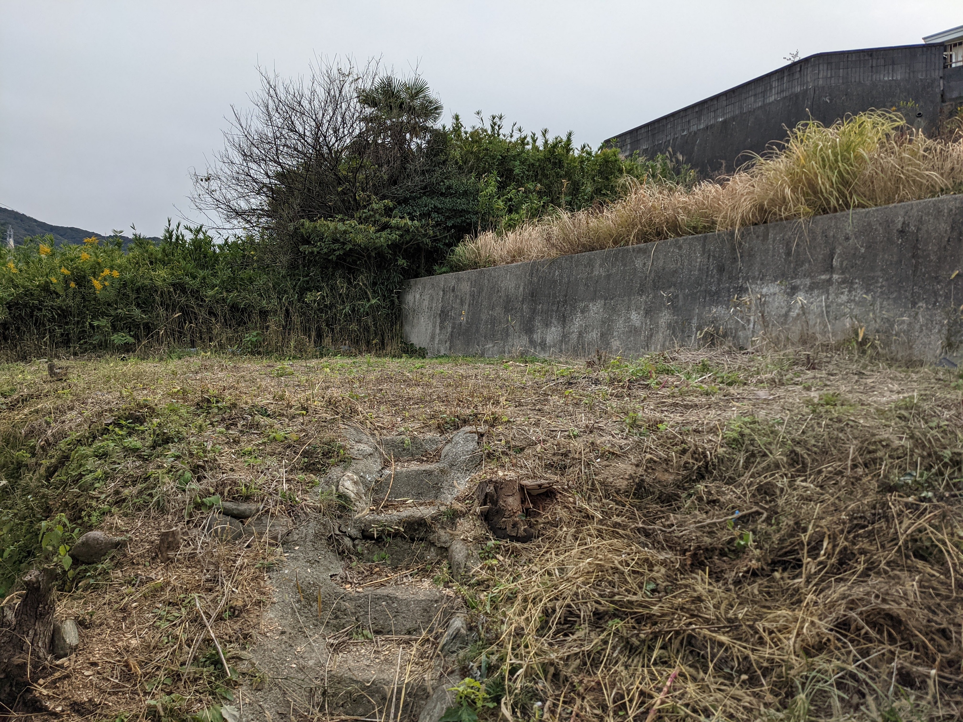 detached 海南市木津