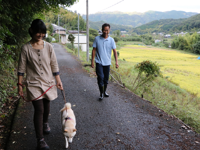 愛犬の福ちゃんとお散歩する日野さんご夫婦