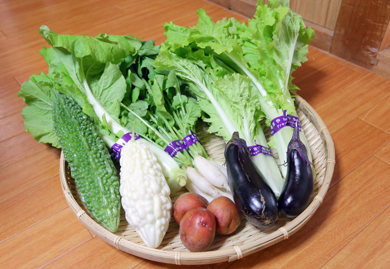 日高川町の神内さんのつくる自然栽培の野菜