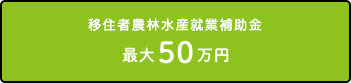 移住者起業最大100万円