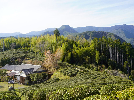 Authentic Local Charm